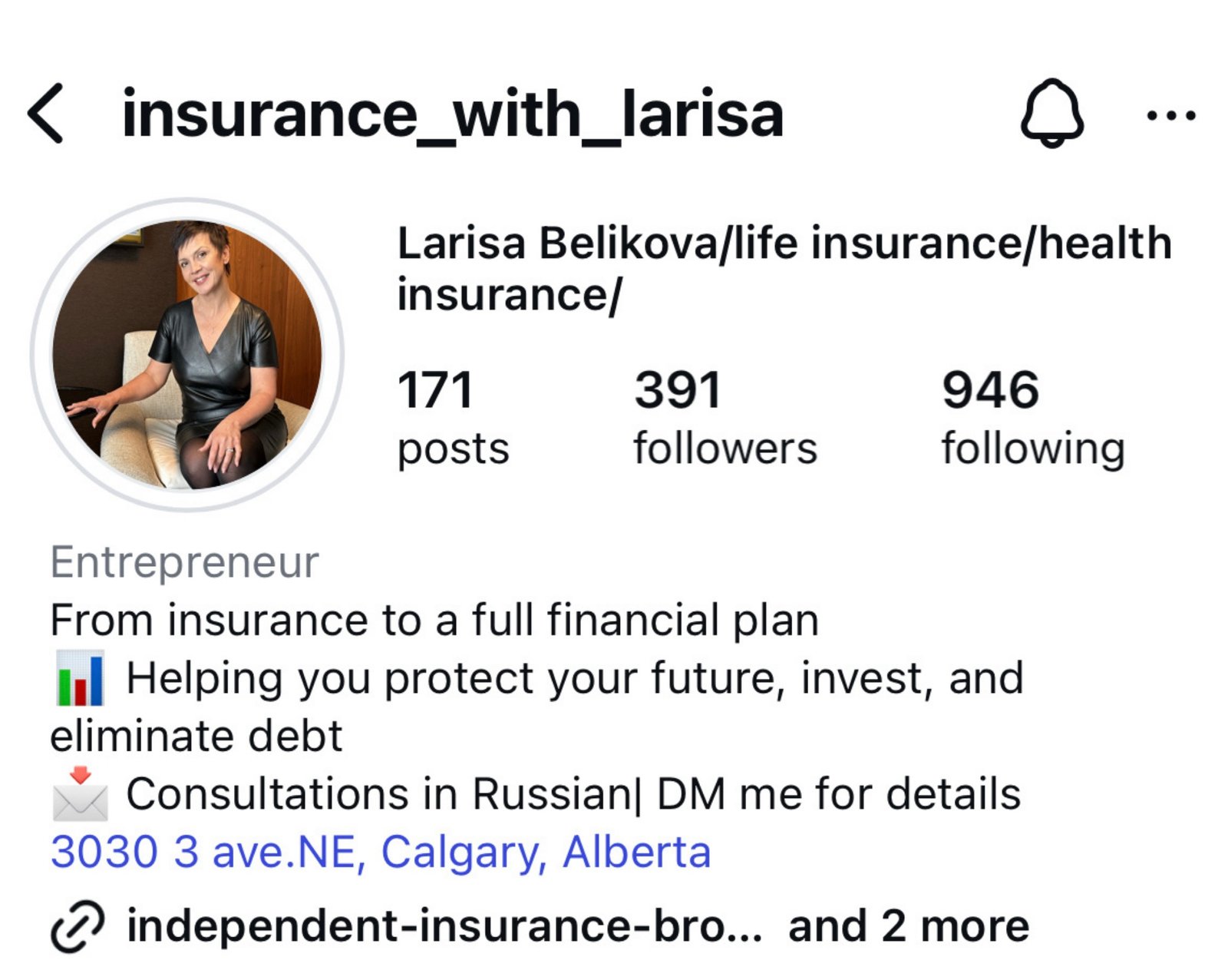 Larisa Belikova Instagram profile before repositioning: 391 followers, no clear positioning