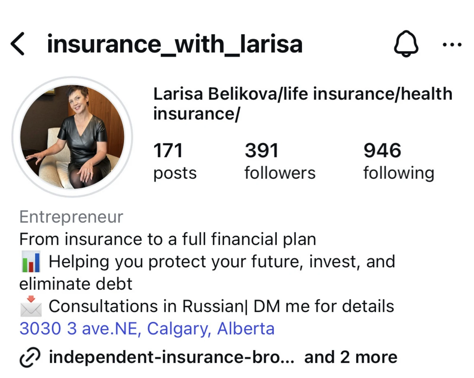 Larisa Belikova Instagram profile before repositioning: 391 followers, no clear positioning
