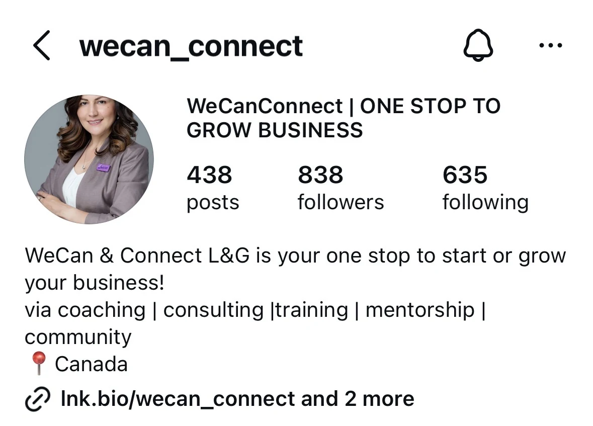 Instagram profile after